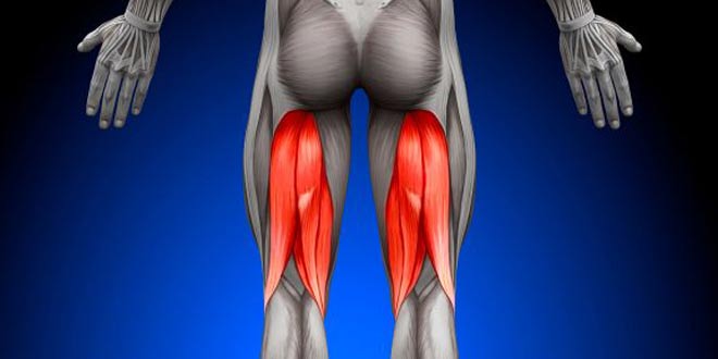 کشیدگی عضلات همسترینگ در پشت ران. علائم و نحوه درمان