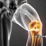 آناتومی زانو را بطور جامع مطالعه کنید