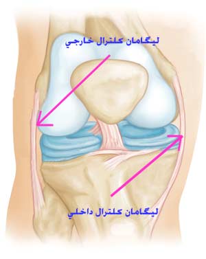 رباط جانبی زانو