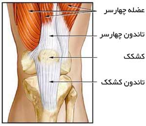 تاندون کشکک