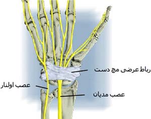 اعصاب دست