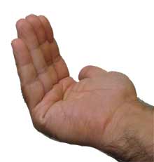  خم شدن یا فلکشن Flexion انگشتان از مفصل متاکارپوفالانژیال