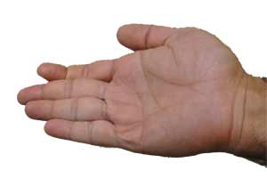  خم شدن یا فلکشن Flexion انگشتان از مفصل اینترفالانژیال دیستال