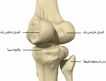  نمای مایل زانو از پشت