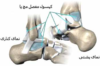 رباط های مچ پا