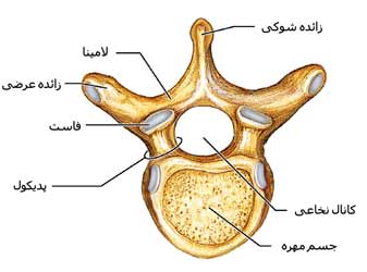 مهره