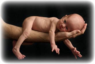 3288
