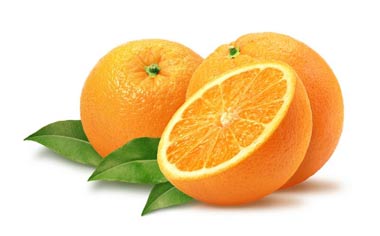 4198